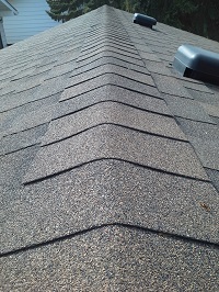 Roof 4